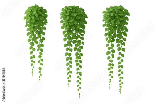 Hanging plant with lush green leaves creating a natural decorative element. Useful for architectural renders and interior designs
