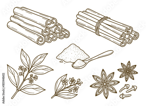 Detailed line art illustration of cinnamon sticks, powder, leaves, star anise, and cloves spices.