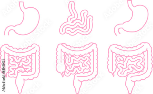 Set of guts vector icons. Linear intestines or bowel. Human organ. Vector 10 Eps.
