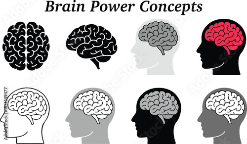 Exploring Human Brain Representation and Cognitive Power Ideas