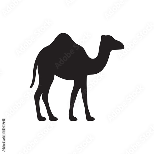 Silhouette of a dromedary camel standing side view isolated on white background