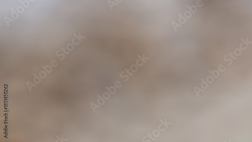 Abstract background, large photograph of ducks raised by farmers for subsistence in central Thailand. Light gray gradient. Water, nature, birds, animals, creatures, sand, texture, outdoors, birds, gro