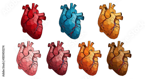 A colorful vector illustration showcases a collection of anatomical heart illustrations in shades of red, blue, and gold, perfect for medical or romantic designs, with a modern aesthetic.