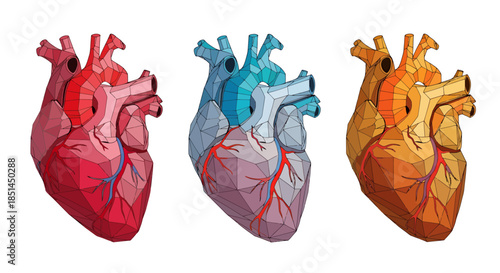 A vector illustration showcases three anatomical hearts in vibrant red, blue, and orange hues, set against a clean white background, perfect for medical or graphic design projects.