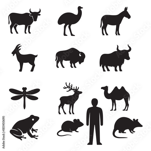 A collection of black silhouette animal and insect figures displayed together