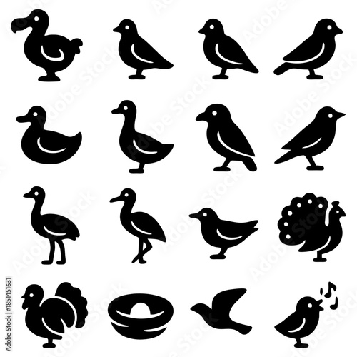 Diverse Avian Silhouettes: A collection of meticulously crafted, elegant bird silhouettes that showcases a variety of avian forms, each possessing a unique silhouette.