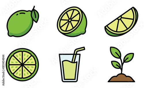 Lime fruits and plant icon, Vector illustration. Fresh juice and nature concepts.
