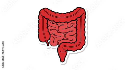 Stylized Red Intestines and Colon Icon