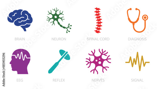 Medical healthcare icons: brain, neuron, spinal cord, diagnosis, EEG, reflex, nerves, signals.