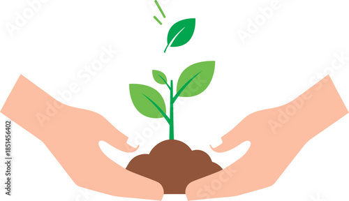 Hands Holding Small Green Plant Soil.