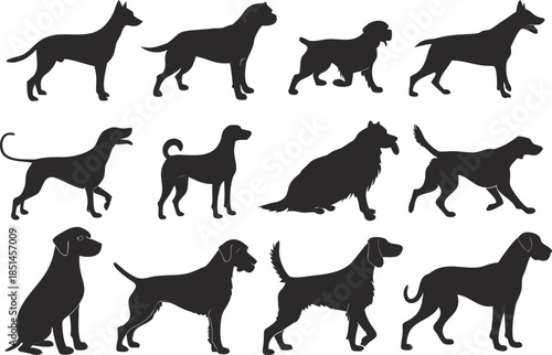Collection of dog breed silhouettes animal