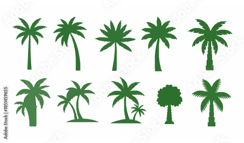 Palm Tree Icons Set Flat Tropical Plant Vector Illustration