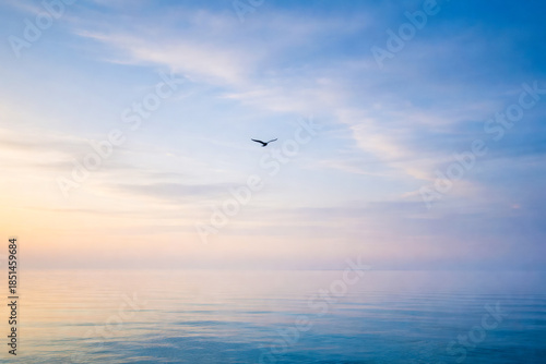Horizontal peaceful seascape photo showing calm ocean water, soft pastel sky, and a single bird flying above the horizon, tranquil and airy mood with blue and warm tones, ideal for nature backgrounds