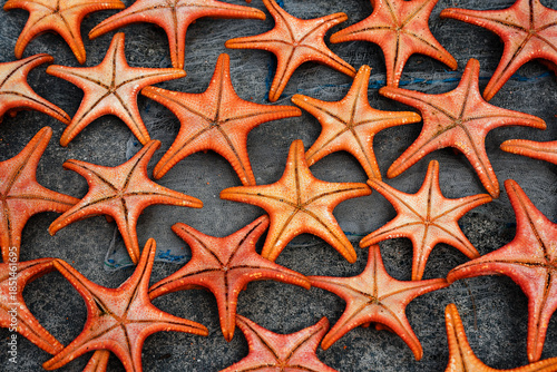 Vietnamese sun-drying starfish