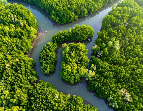 River winds through lush green forest islands viewed from above, dappled light touches tops of trees