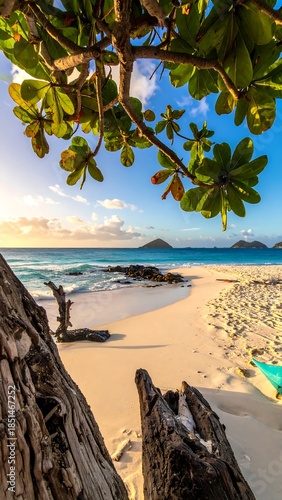 Scenic beach view framed by weathered wood and lush green leaves against a serene ocean and sky backdrop
