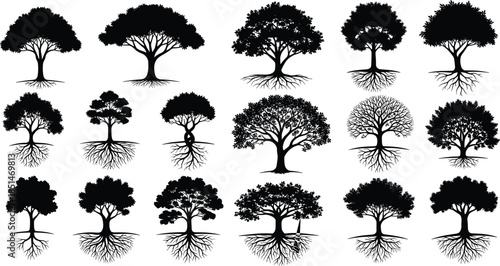 Tree silhouette collection showing diverse roots and canopies, nature illustration set for ecology, growth, forest design concepts vector botanical artwork