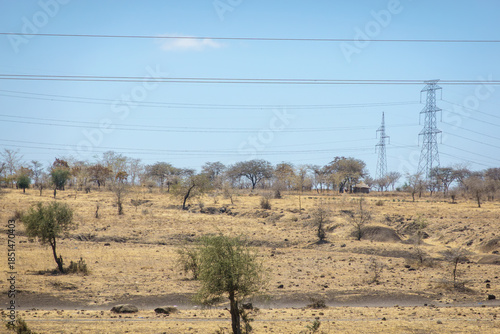 Quadro em tela Large electricity transmission line and towers in a dry, grassy, and sparsely treed landscape, likely in an arid or semi-arid region