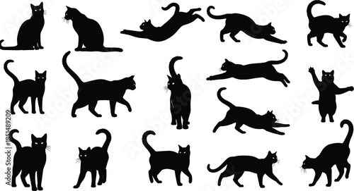 Black cat silhouette collection, feline poses, walking, sitting, jumping, stretching, playful cats, vector illustration, animal clipart, pet design, isolated