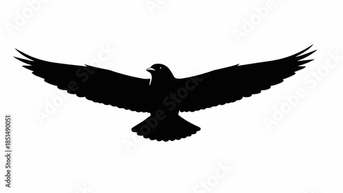 Silhouette of a majestic eagle in flight with wings spread wide.