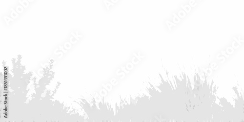 Sparse vegetation and grasses against a plain white background landscape