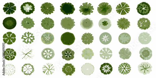 An aerial view of various tree canopies in different shades of green