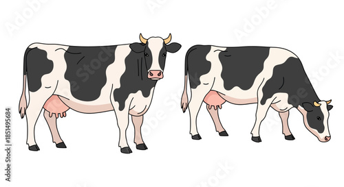 A charming vector illustration showcases two dairy Holstein cows, one standing and the other grazing, symbolizing fresh milk production.