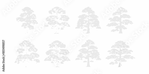 A collection of silhouetted evergreen trees in varying shapes and sizes