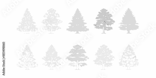 Silhouettes of various coniferous and deciduous trees in grayscale tones