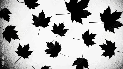 Black Maple Leaves Silhouette Falling Autumn Season.
