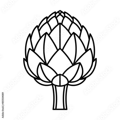 Black and white artichoke line art illustration