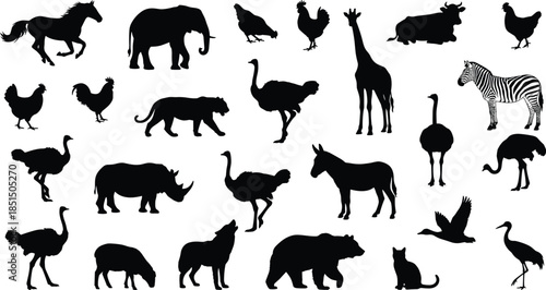 Animal silhouettes collection featuring wildlife mammals and birds, black vector illustrations isolated on white background for zoo safari design use