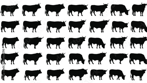 Black silhouettes of bull and cattle set, farm animal collection with various ox and cow poses isolated on white background.