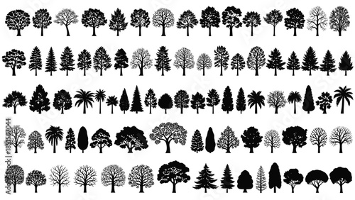 Black silhouettes of various tree species set, forest and nature elements collection with pine palm oak and deciduous trees isolated.