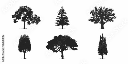 A collection of silhouetted trees depicting various shapes and foliage styles