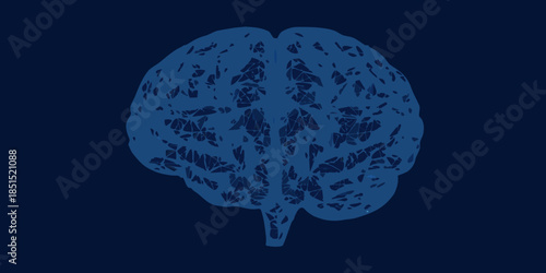 Illustration of a human brain with detailed cerebral cortex structure displayed