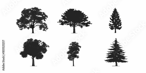 Silhouettes of various tree types against a plain white background