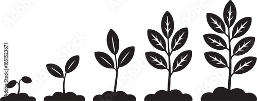 Plant Growth Stages Silhouette Featuring Seed Germination, Sprouting Seedlings, Leaf Development, and Mature Plant Progression in Black Vector Style
