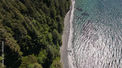 High-altitude drone view of West Coast Vancouver Island coastline. Ocean waves crash against rocky cliffs, with forest, trees, and sandy beach under sunny summer weather.