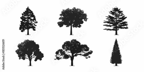 Silhouettes of various evergreen and deciduous trees against a white background
