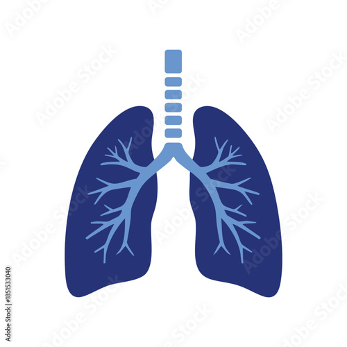 Human lungs anatomy vector illustration for respiratory health concept