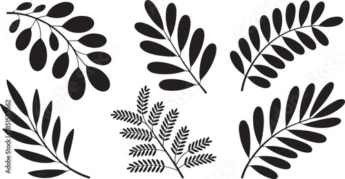Botanical Leaf and Fern Silhouette Set Featuring Decorative Branches, Foliage Sprigs, and Natural Plant Shapes in Black Vector Style
