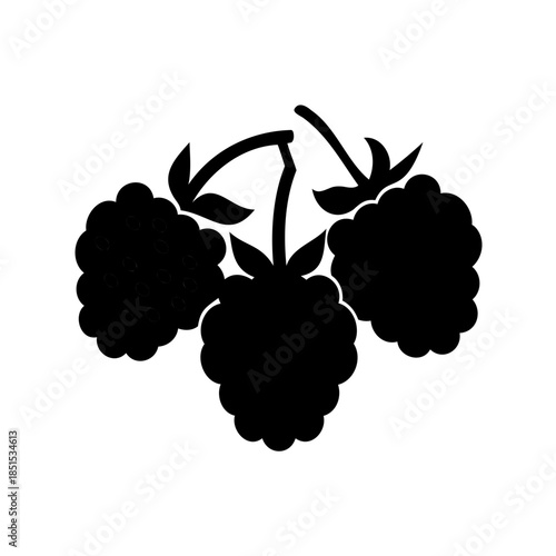 Vector illustration of a ripe bunch of grapes on a green vine branch with leaves featuring a sweet berry design for wine and nature food patterns
