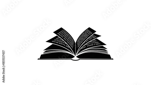 braille book silhouette icon