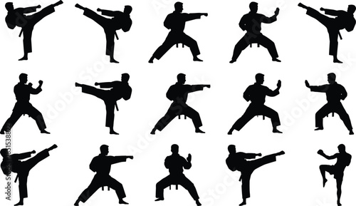 Set of martial arts silhouettes featuring karate, judo, and taekwondo fighters in various action poses like high kicks, punches, and defensive combat stances