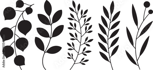 Botanical Leaf and Branch Silhouette Set Featuring Decorative Foliage Sprigs, Wild Plants, and Minimal Nature Shapes in Black Vector Style
