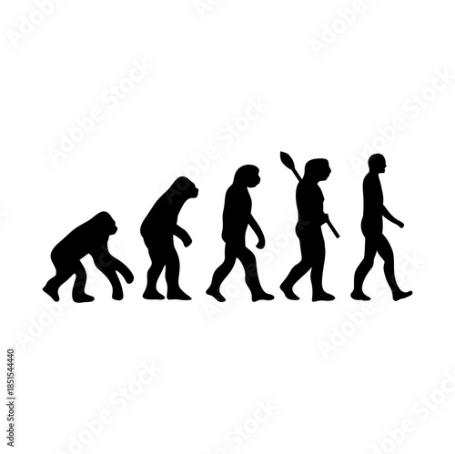 Human Evolution Silhouette From Ape to Modern Man
