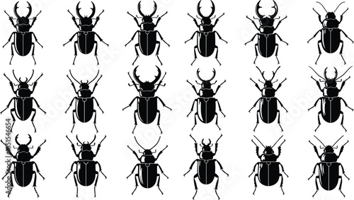 Extensive Black Silhouette Vector Collection of Stag Beetles, Lucanus Cervus Species, and Various Insects for Entomology, Nature, Biology, and Detailed Scientific Design Elements