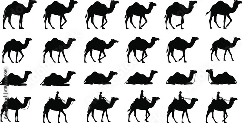 Extensive Collection of Camel Silhouettes in Various Poses, Vector Illustration Set Showing Walking, Resting, and Ridden Camels for Desert Travel, Tourism, and Arabian Culture