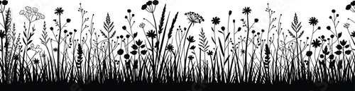 Wildflower meadow silhouette border, black floral grass pattern with blooming plants, elegant nature background isolated on white